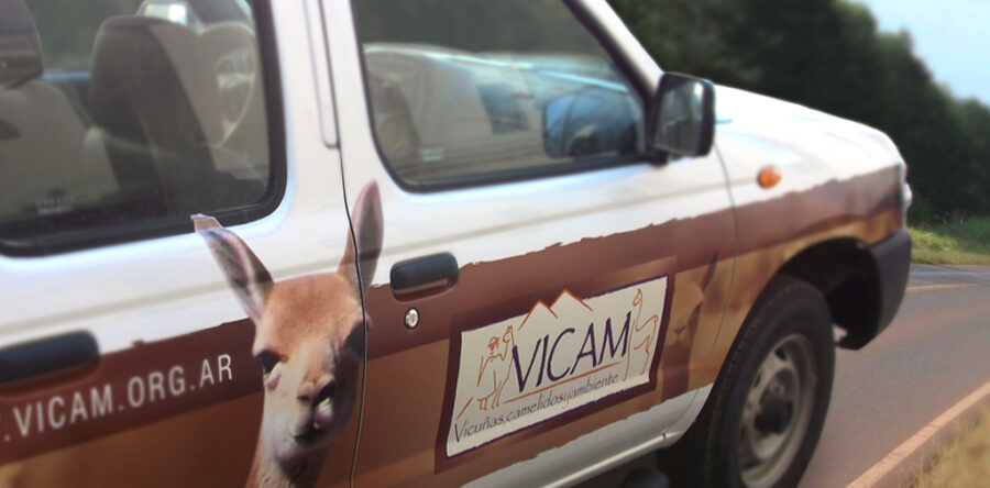 Ploteo Vicam