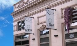 Sedu